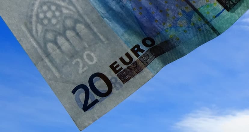 Euro - Image credits Mick Carvalho