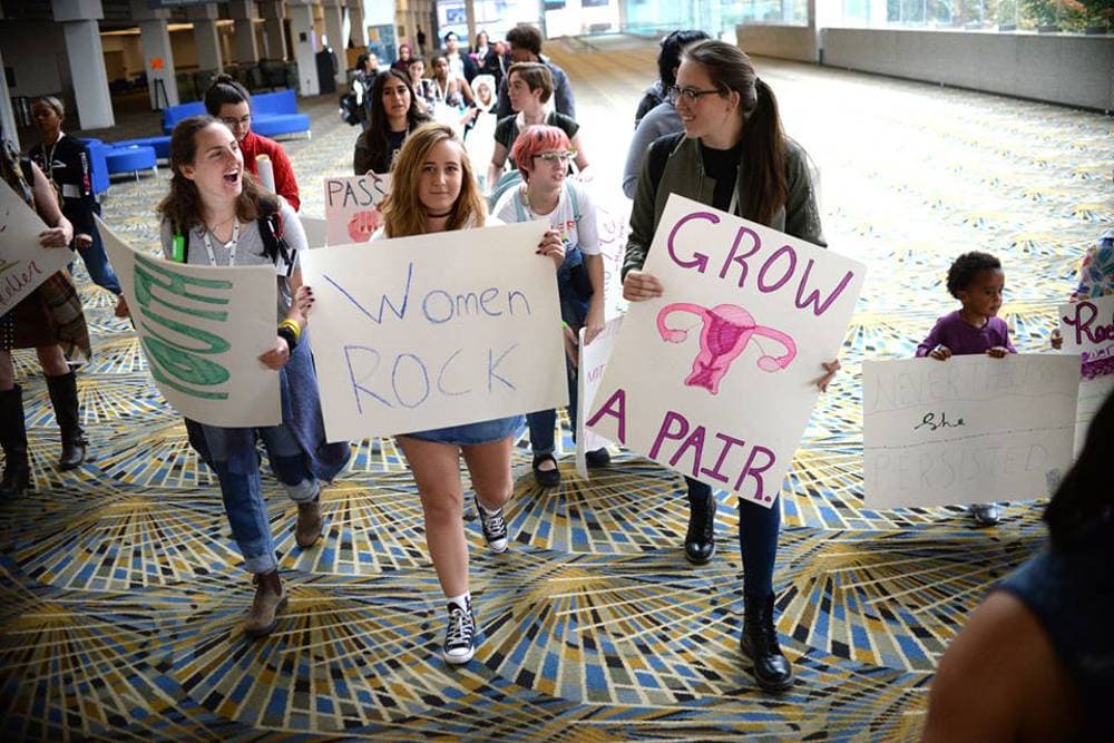 Women's March in Detroit, Michigan. November 1. 2017. Photo by Viviana Pernot.