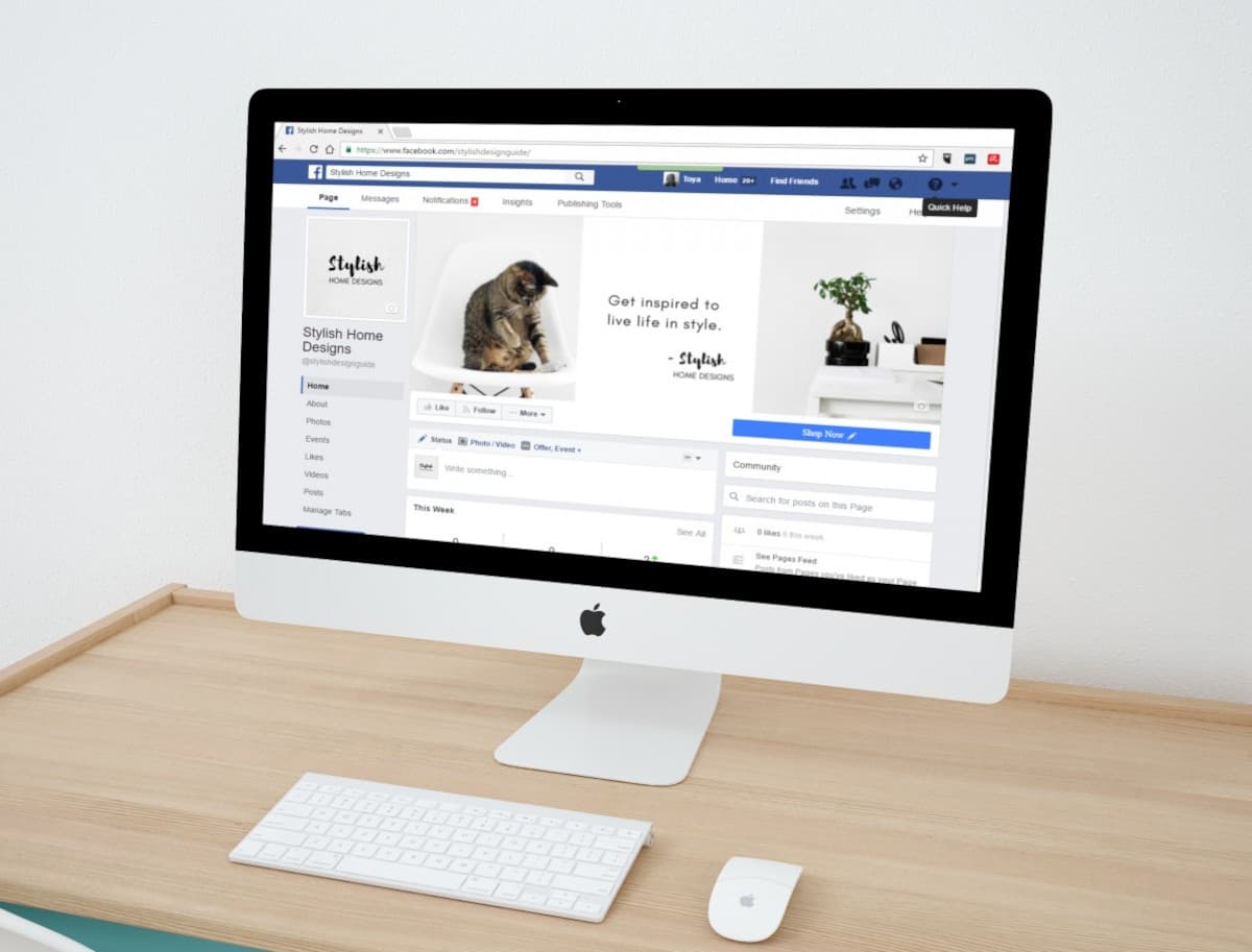 Facebook Stock Is 3% Up As Session Comes To An End On Monday