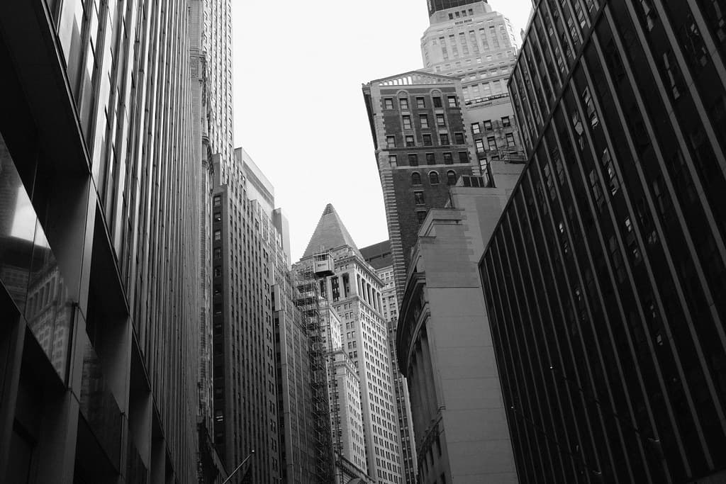 Tilray Stock Went Down By Over 34% In The Last 21 Sessions